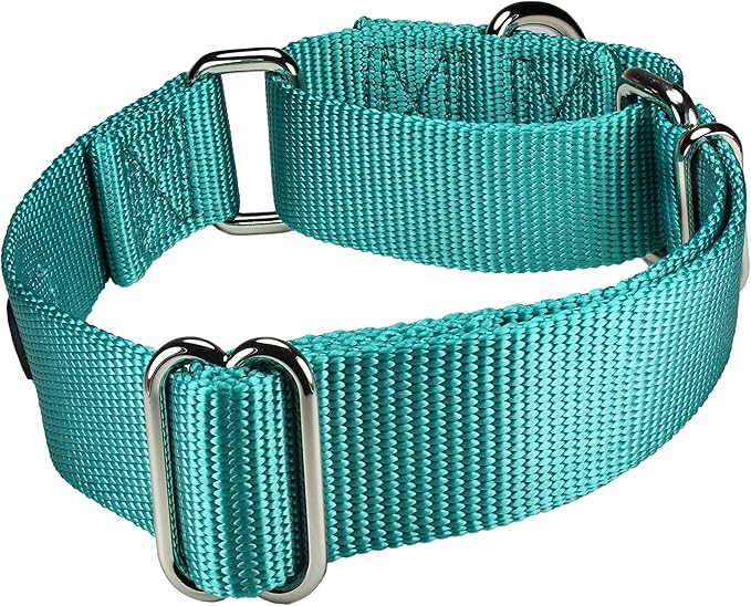 Mikivery Martingale Dog Collar Nylon Adjustable and Safety Training Colourful Comfortable Metal Buckle Pet Collars for Small Medium and Large Dogs(Teal,L)