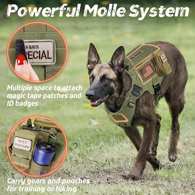 rabbitgoo Tactical Dog Harness for Small, Heavy Duty Pet Harness with Handle, No-Pull Service Vest Small Breed, Adjustable Military Dog Vest for Training Hunting Walking, Green, S