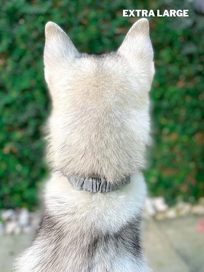 Heavy Duty Dog Collar with Handle | Ballistic Nylon Heavy Duty Collar | Padded Reflective Dog Collar with Adjustable Stainless Steel Hardware | Convenient Sizing for All Breeds X-Large (19-23" Neck)