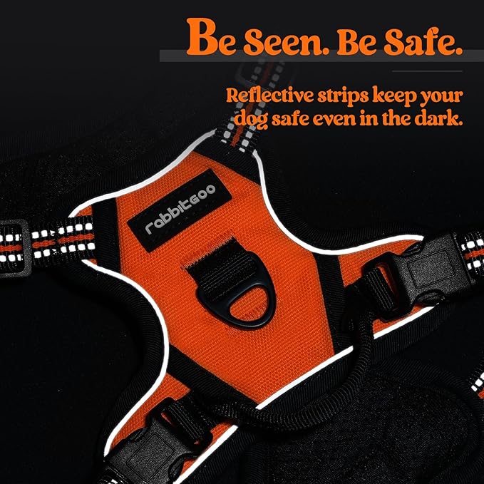 rabbitgoo Dog Harness No Pull with 2 Leash Clips, Adjustable Soft Padded, Reflective Oxford No Choke Pet Vest with Easy Control Handle for Puppy, Orange,XS