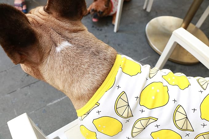 iChoue 100% Breathable Cotton French Bulldog Halloween Cartoon T Shirts Cute Clothes for Medium Dogs Vest Tank Tops Frenchie Pug Small Puppy English Boston Terrier Lemon - Large