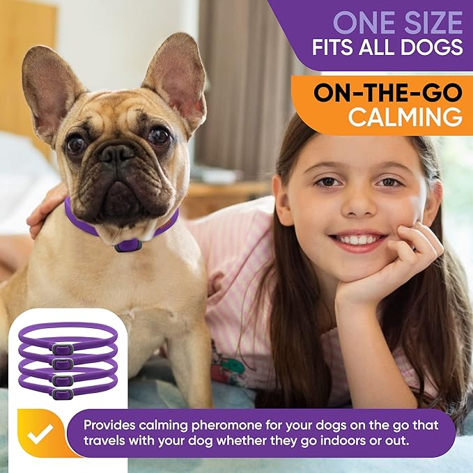 Calming Collar for Dogs: Pheromone-Infused Calming Collar for Dogs - Long-Lasting Calm & Relaxation - Helps Reduce Unwanted Behavior, 4 Pack (Purple)