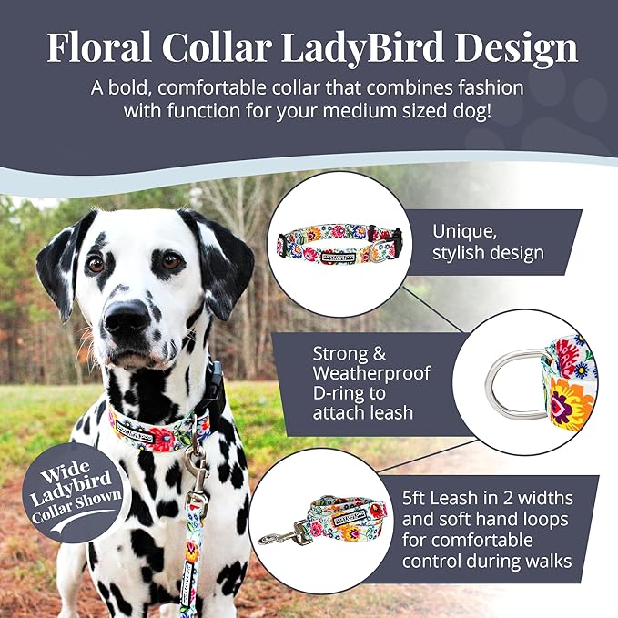 Lucky Love Dog - Adjustable Dog Collar with Easy Click Buckle for Small to Large Ones, Durable, & Comfortable for Male & Female Dogs, Pet Collar for Puppies & Adult Dogs - Ladybird, Medium