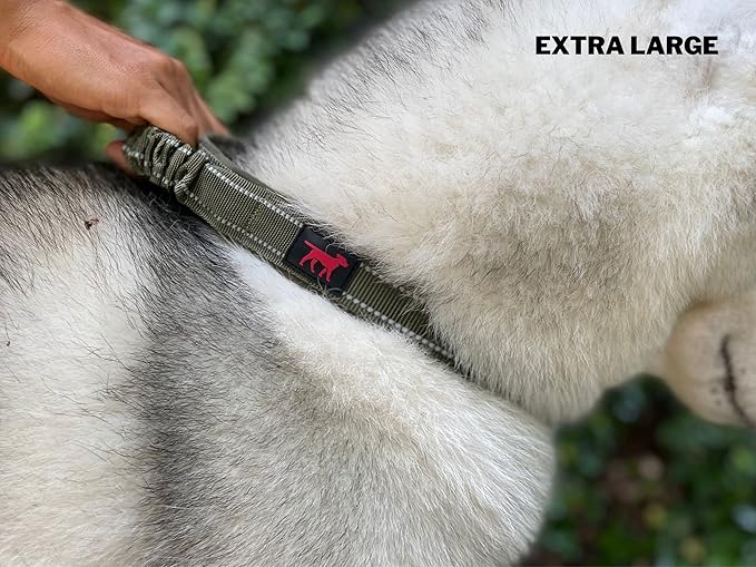 Tuff Pupper Heavy Duty Dog Collar with Handle | Ballistic Nylon Heavy Duty Collar | Padded Reflective Dog Collar with Adjustable Stainless Steel Hardware | Convenient Sizing for All Breeds