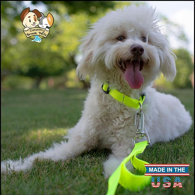 Country Brook Petz - American-Made Dog Collar for Large, Medium, and Small Dogs and Puppies - Deluxe Heavy Duty Nylon in 33 Dazzling Colors (2XS, 3/8 Inch Wide, Hot Yellow)