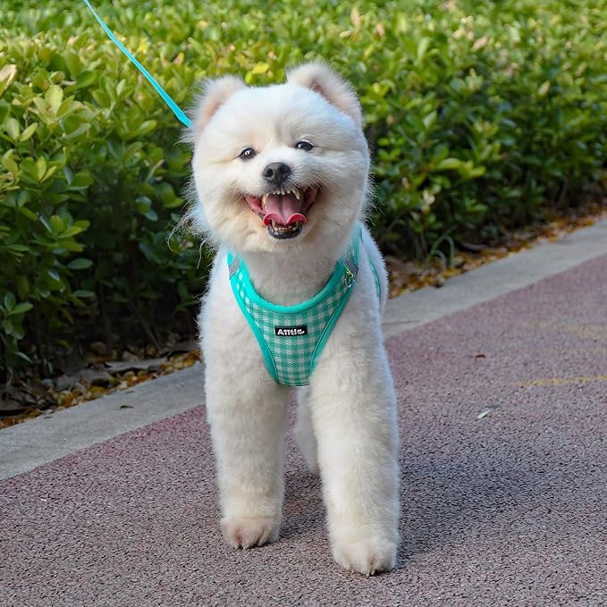AIITLE Easy Walk Dog Vest Harness and Leash Set, Pet Supply No Pull, Breathable Mesh, Reflective Stripes, Adjustable Escape Proof Pet Outdoor Harnesses for Medium Dogs Turquoise L