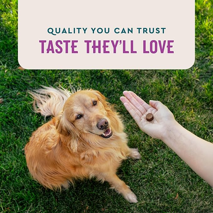 VetIQ Calming Support Supplement for Dogs, Calming Chews Help Manage Stress and Promote Relaxation, Anxiety Relief for Dogs, Made in The USA, 120 Count