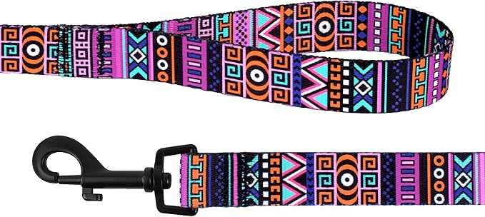 CollarDirect Aztec Dog Leash Nylon Tribal Pattern Cat Pet Leashes for Small Medium Large Dogs Puppy Lead 5 FT Long for Walking (Pattern 2, M)
