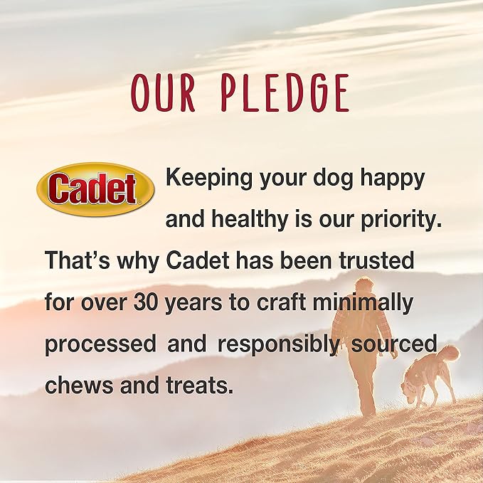 Cadet Gourmet Beef Hide Twist Chew Sticks, Long Lasting & Natural Chew Treats for Dogs, Inspected & Tested in USA, Duck Flavor (50 Count)
