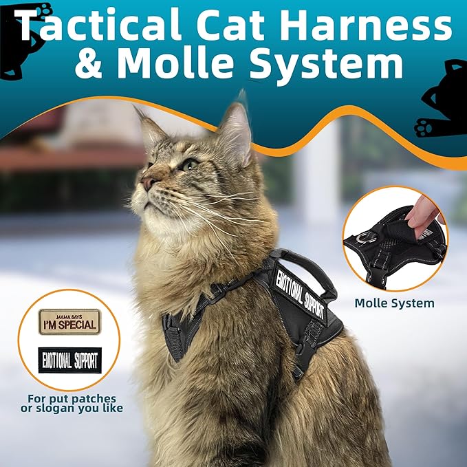 Tactical Cat Harness and Leash Black for Walking Esacpe Proof, Adjustable Soft Mesh Large Cat Vest with Handle Easy to Control,Molle Patches L