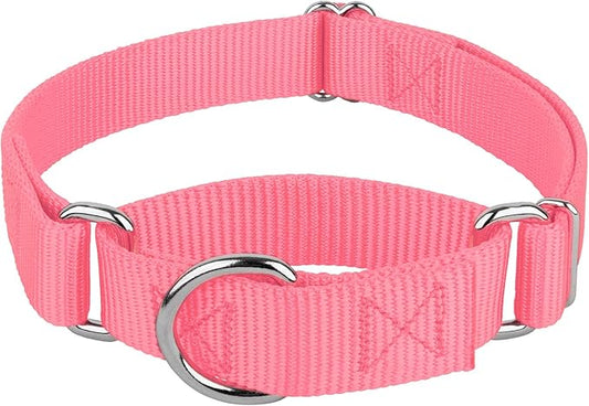 Country Brook Petz Martingale Dog Collar - Heavy-Duty Training Collar with No Buckle - Service Dog Collar for All Pups - Vibrant, Colorful Collection (Pink, 1 Inch, Extra Large)