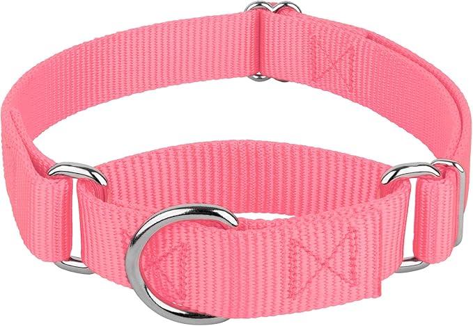 Country Brook Petz Martingale Dog Collar - Heavy-Duty Training Collar with No Buckle - Service Dog Collar for All Pups - Vibrant, Colorful Collection (Pink, 3/4 Inch, Small)