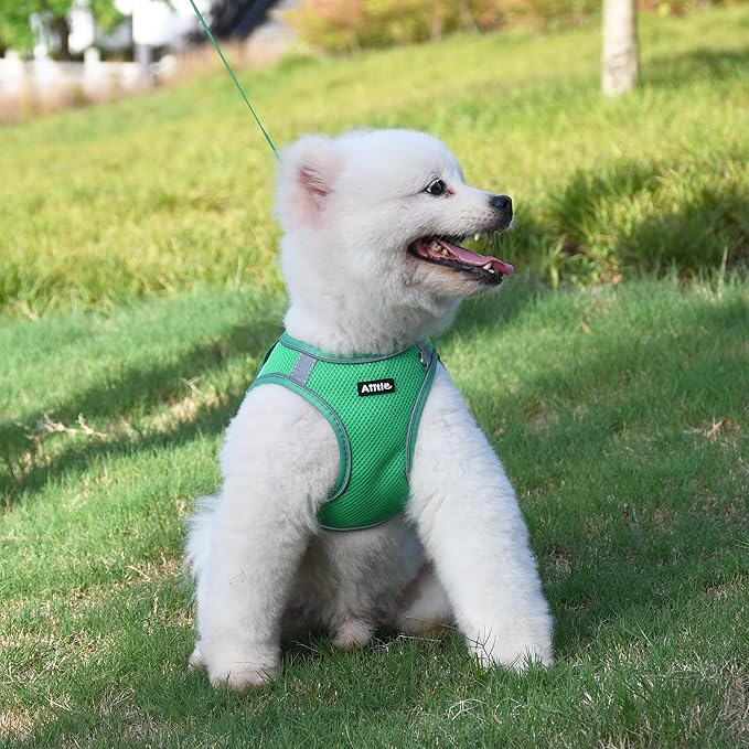 AIITLE Small Dog Harness, No-Pull Cat Harness with a Leash, Step in Adjustable Puppy Harness with Quick-Release Buckle, Reflective Outdoor Pet Vest for Extra Small Dogs and House Cats Green XXS