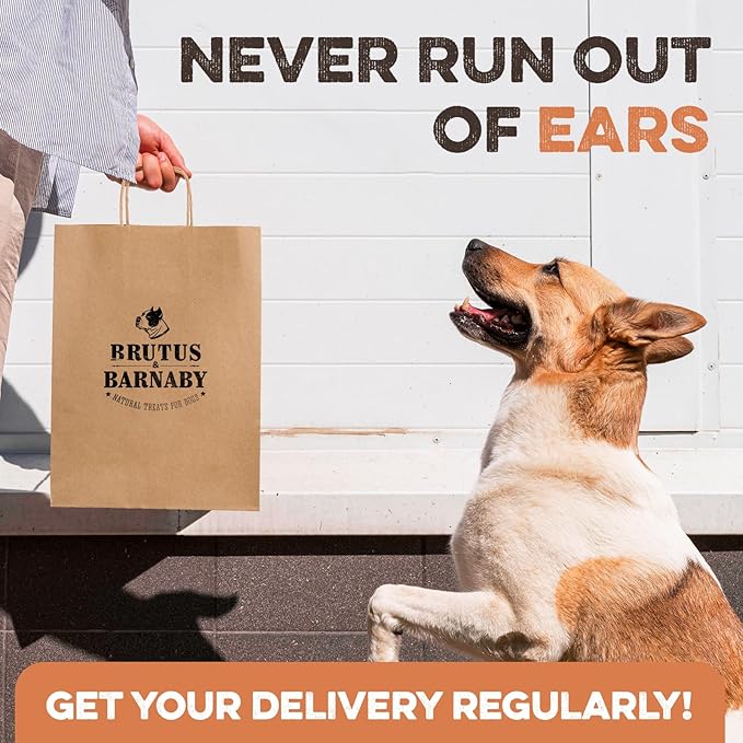 Premium Cow Ears For Dogs, Thick Cut & All-Natural Half Ears, 100% Grass Fed Beef, No Additives Or Hormones, Safe Rawhide Alternative, Great Dog Treat Alternative To Pig Ears, Bully Sticks, Dog Bones