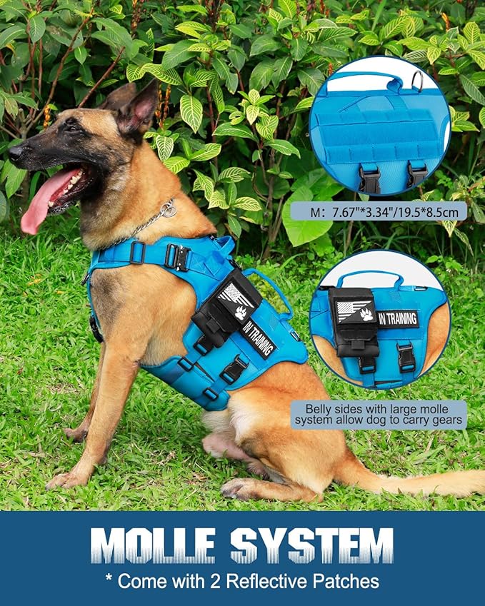 Tactical Dog Harness - PETNANNY Dog Harness Service Dog Vest for Large Breed Dog, Hook and Loop Panel for Service Dog Patchs, Work Dog MOLLE Vest with Handle for Walking Hiking Training(Blue,M)