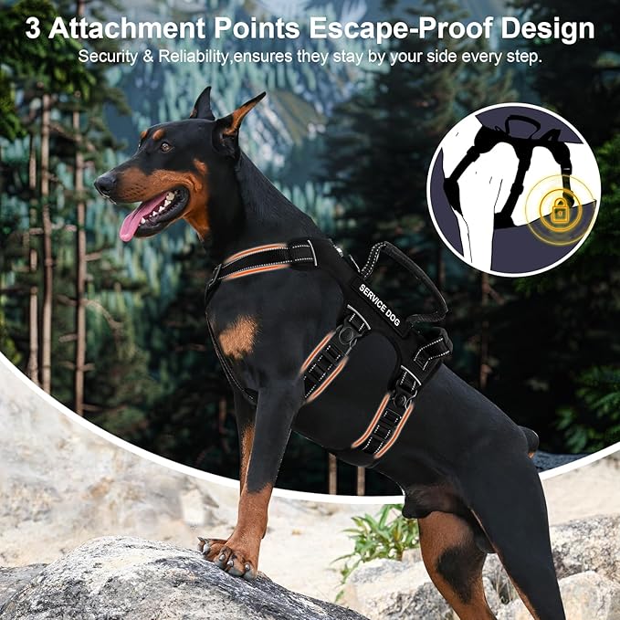 Escape Proof Dog Harness for Large Medium Sized Dogs Six Point Adjustable, Service Dog Vest Harness and Leash Set, No Pull Dogs Harnesses with Handle, Medium Dog Harnesses for Walking(Black, S)