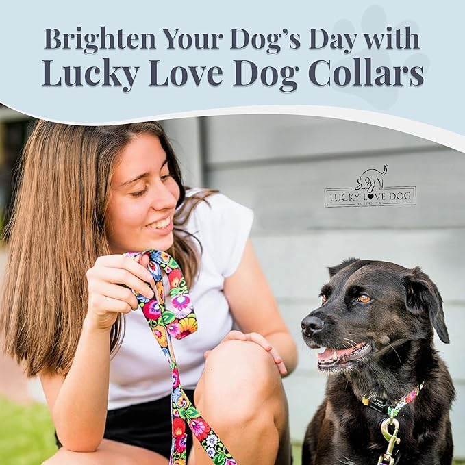 Lucky Love Dog - Adjustable Dog Collar with Easy Click Buckle for Small to Large Ones, Durable, & Comfortable for Male & Female Dogs, Pet Collar for Puppies & Adult Dogs - Blackbird, Medium