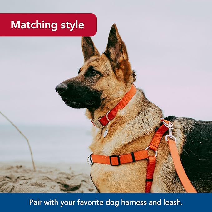 CCoastal Pet Adjustable Dog Collar with Metal Buckle - Comfortable Fade-Resistant Dog Collar with Snap Lock - Perfect for Walking & Tie Outs - Red - 5/8" x 10"-14"