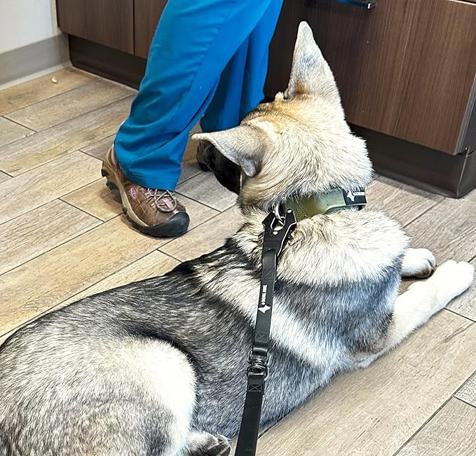 Tactical Dog Collar 2 Inch Wide Thick Heavy Duty Military Style with Metal Buckle, Adjustable for Medium - Large Breeds, Durable K9 Training Gear with Patch Area, USA Flag Patch, Strong and Secure Fit