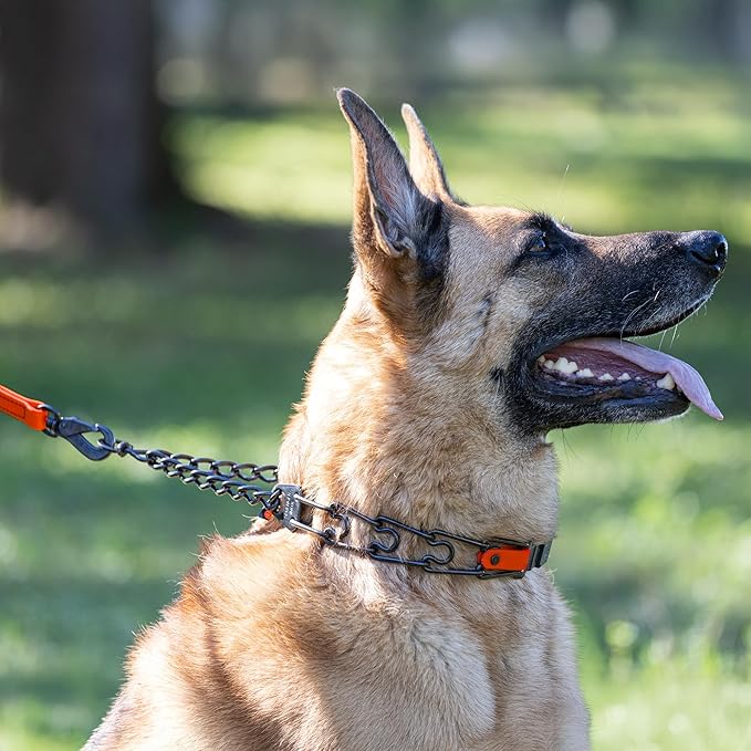 Herm Sprenger Black Stainless Steel Dog Collar with Quick Release ClicLock Buckle and Biothane Insert Training Collar Made in Germany (Hunter Orange, 23in x 3.2mm(Neck Size up to19-20in))