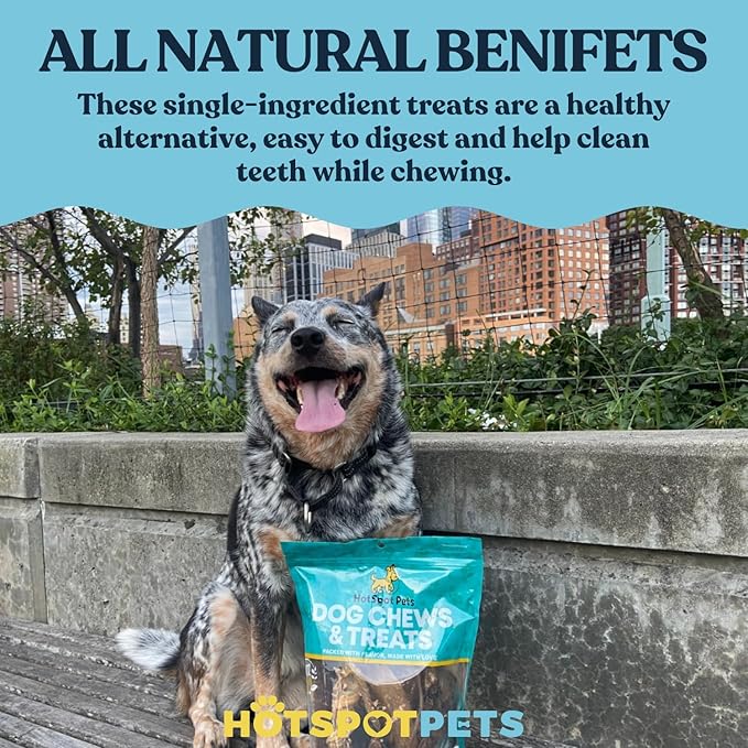 Beef Jerky Dog Treats Esophagus (6 Inches- 20 Pack) - 100% Natural Healthy Chews for Dogs - Meat Jerky Snack, Rich in Glucosamine for Joint Health,All Natural from Grass Fed Cattle