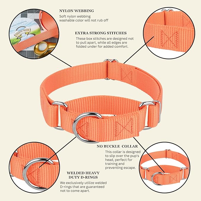 Country Brook Petz Martingale Dog Collar - Heavy-Duty Training Collar with No Buckle - Service Dog Collar for All Pups - Vibrant, Colorful Collection (Mango, 1 Inch, Large)