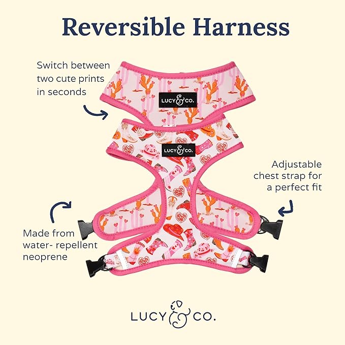 Lucy & Co. Cute Reversible Dog Harness Walking Halter - Best Designer Pet Harnesses for XS - XL Dogs - Padded Adjustable Vest for Easy Walking. (Howdy, Honey Reversible Harness)