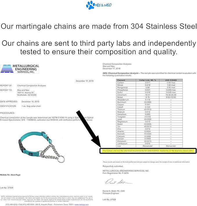 Max and Neo Stainless Steel Chain Martingale Collar - We Donate a Collar to a Dog Rescue for Every Collar Sold (Large, Teal)