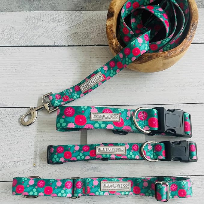 Lucky Love Dog - Adjustable Dog Collar and Leash Set with Easy Click Buckle for Small to Large Dogs, Durable, & Comfortable Collar for Male & Female Dogs, Puppies & Adult Ones - Penny Combo, Medium