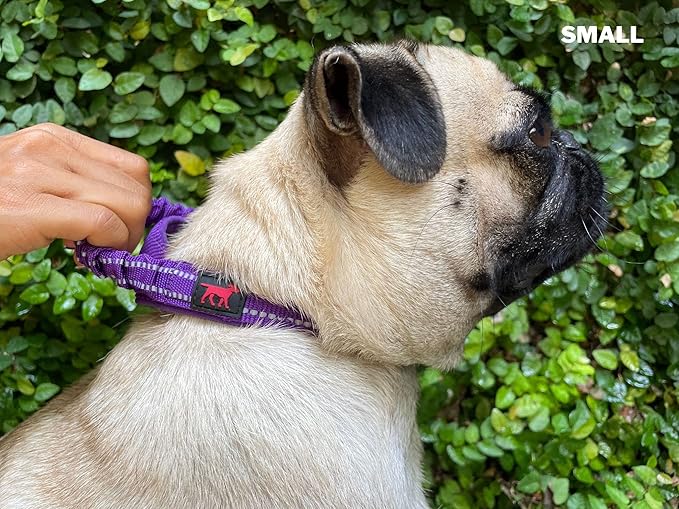 Tuff Pupper Heavy Duty Dog Collar with Handle | Ballistic Nylon Heavy Duty Collar | Padded Reflective Dog Collar with Adjustable Stainless Steel Hardware | Convenient Sizing for All Breeds