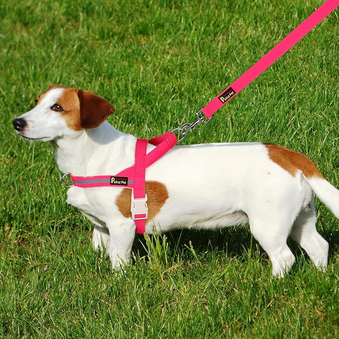 Plutus Pet Cotton Dog Harness and Leash Set, Reflective and Soft Padded, Quick Fit Vest Harness, for Small, Medium and Large Dogs, Hot Pink, M