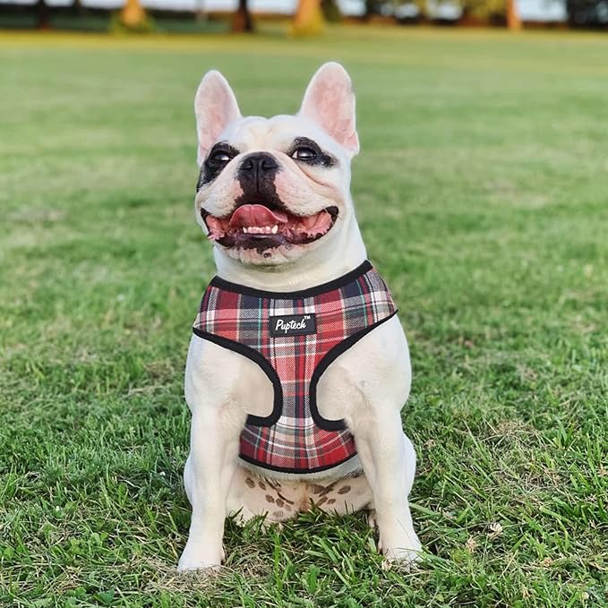 PUPTECK Soft Mesh Dog Harness and Leash Set Pet Puppy Cat Comfort Padded Vest No Pull Harnesses, Red Mixed, L