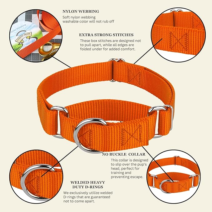 Country Brook Petz Martingale Dog Collar - Heavy-Duty Training Collar with No Buckle - Service Dog Collar for All Pups - Vibrant, Colorful Collection (Orange, 3/4 Inch, Small)