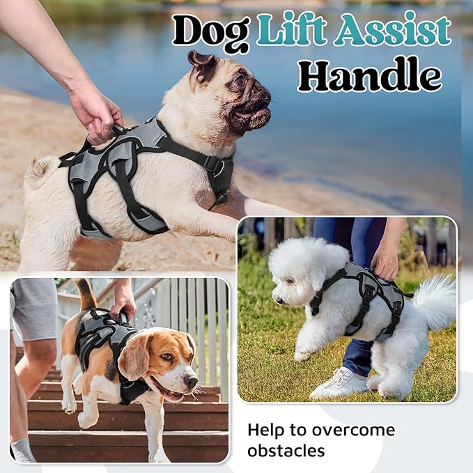 rabbitgoo Escape Proof Dog Harness, Soft Padded Full Body Pet Harness, Reflective Adjustable No Pull Vest with Lift Handle and Leash Clip for Large Dogs Walking Hiking Training, S, Grey