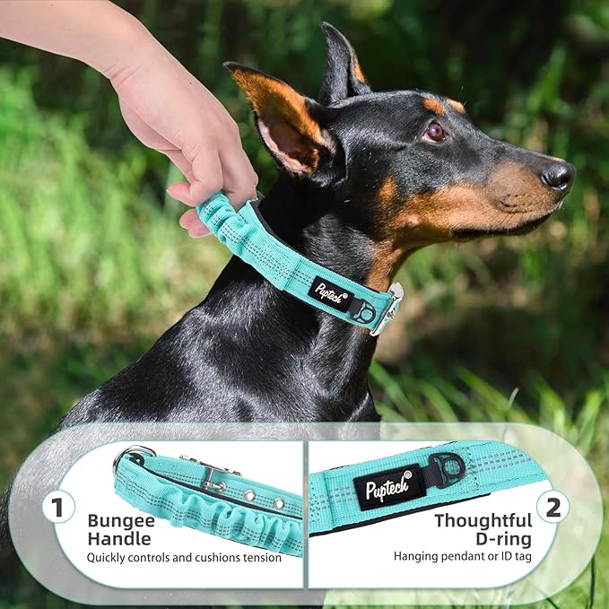 PUPTECK Heavy Duty Dog Collar with Handle Bungee for Small Medium Large Dogs, Tactical Dog Training Collar for Easy Control, Reflective Padded Dog Collars for Walking Running, Turquoise, M