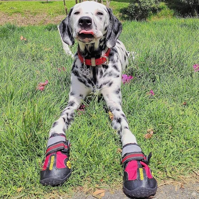 QUMY Dog Shoes for Large Dogs, Medium Dog Boots & Paw Protectors for Winter Snowy Day, Summer Hot Pavement, Waterproof in Rainy Weather, Outdoor Walking, Indoor Hardfloors Anti Slip Sole Red Size 6
