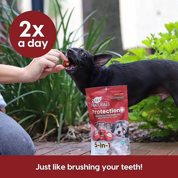 ARK NATURALS Protection+ Brushless Toothpaste, Dog Dental Chews for Mini Breeds, Prevents Plaque & Tartar, Freshens Breath, 4oz, 2 Pack
