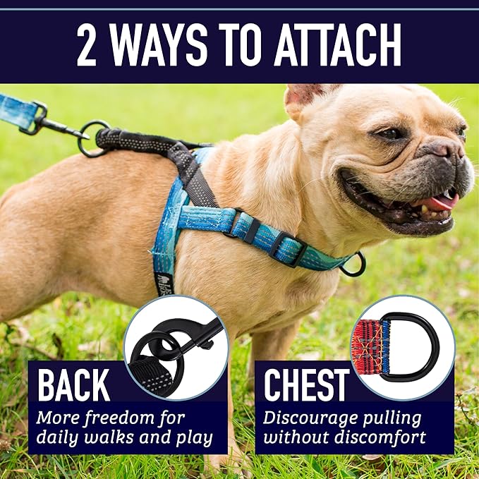 Leash Boss No Pull Dog Harness, Easy Walk for Small, Medium, and Large Pets, Reflective with Rear and Front Clip Attachment (Space Pattern, Extra Large)