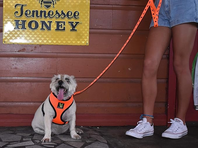 Dog Harness Soft Gentle No Pull No Choke Dog Harnesses Double Padded Halter Ultra Cushion Walking Breathable Mesh Dog Vest for Puppies XS Small Medium Large XL (Medium (Neck 12 to 14 in), Orange)