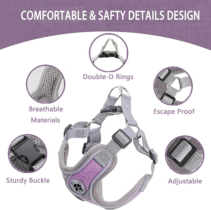 Large Dog Harness and Leash Set,No Pull Adjustable Step in Soft Mesh Vest Harness,Easy Walk Reflective Pet Harness with Padded Handle for Walking Training Small Medium Large Dogs and Cats (Purple, L)