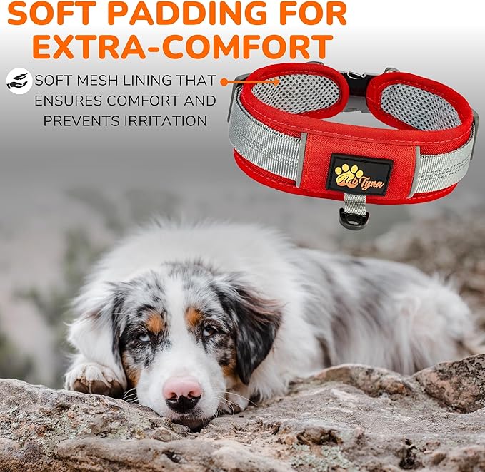 Durable 2-inch Adjustable Dog Collar for Medium Dogs – Reflective, Heavy-Duty Metal Buckle, Comfortable Mesh Lining, Includes Patch and AirTag Holder (Red, Medium: Fit 15" - 18" Neck)
