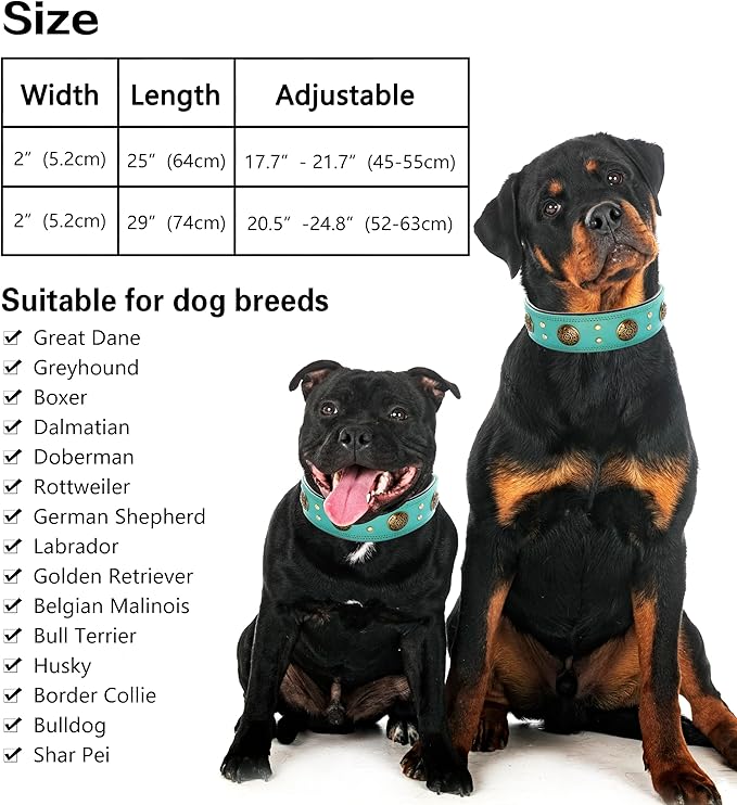 Leather Dog Collar for Medium Dogs, 2" Wide Durable Thick Strong Genuine Leather Spike Dog Collar with Metal Buckle, Padded Collar with Studded Design for Girl Boy Dogs (Teal,M)