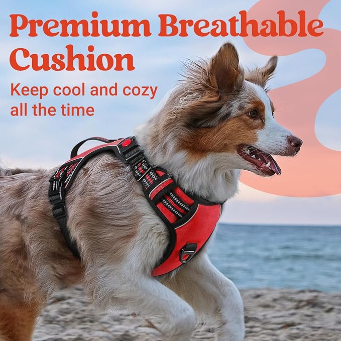 rabbitgoo Dog Harness for Large Dogs, No Pull Pet Harness with Soft Padded Handle, Adjustable Reflective Vest with 3 Buckles, Easy Walking Harness with 2 Leash Clips, Red, L