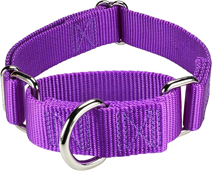 Mikivery Martingale Dog Collar Nylon Adjustable and Safety Training Purple Comfortable Metal Buckle Pet Collars for Small Medium and Large Dogs