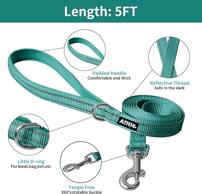 AIITLE Soft Mesh Dog Harness and Leash Set - No Pull Step in Dog Harness with Super Breathable Mesh, Reflective Adjustable Pet Harness for Outdoor Walking, Training for Large Dogs Turquoise L