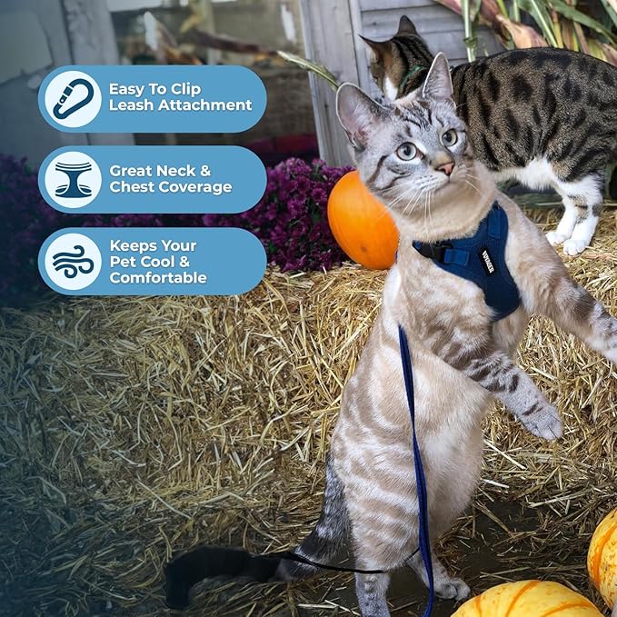 Voyager Step-in Lock Adjustable Cat Harness w. Cat Leash Combo Set with Neoprene Handle 5ft - Supports Small, Medium and Large Breed Cats by Best Pet Supplies - Royal Blue, XS