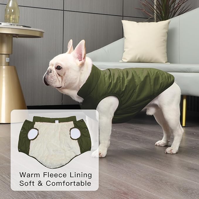 2 Layers Fleece Lined Warm Dog Jacket for Puppy Winter Cold Weather,Soft Windproof Small Dog Coat,Green XS