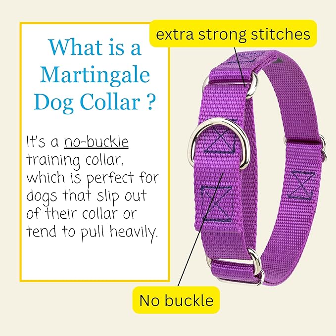 Country Brook Petz Martingale Dog Collar - Heavy-Duty Training Collar with No Buckle - Service Dog Collar for All Pups - Vibrant, Colorful Collection (Bright Purple, 5/8 Inch, Extra Small)
