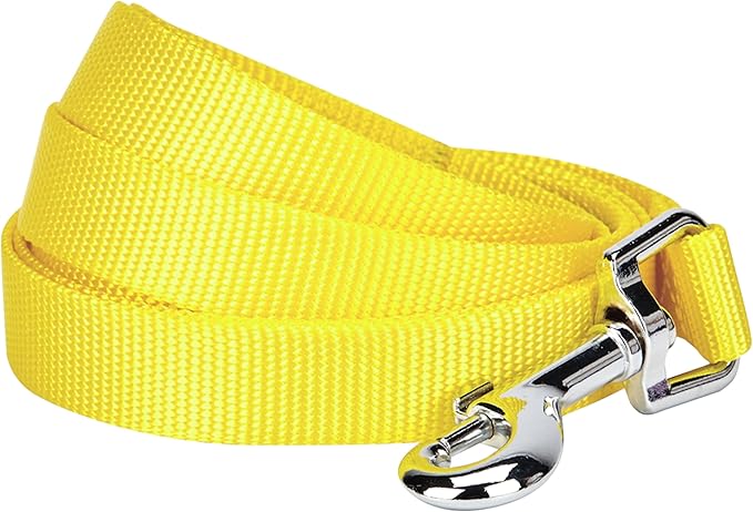 Blueberry Pet Essentials Durable Classic Dog Leash | Basic Nylon Dog Leash | 5ft. x 3/8" X-Small Dog Leash | Blazing Yellow Dog Leash | Standard Dog Leashes & Lightweight Dog Leash for Training