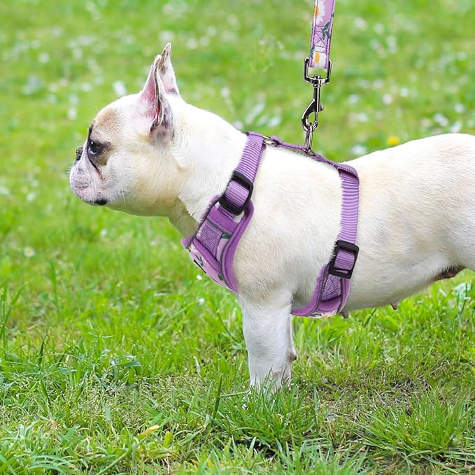 PUPTECK Dog Harness and Leash Set for Small Medium Dogs No Pull, Soft Mesh Adjustable Puppy Cat Harness Reflective at Night, Light Purple M